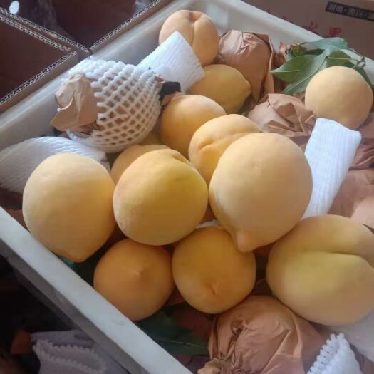 资兴市 东江湖锦绣黄桃，