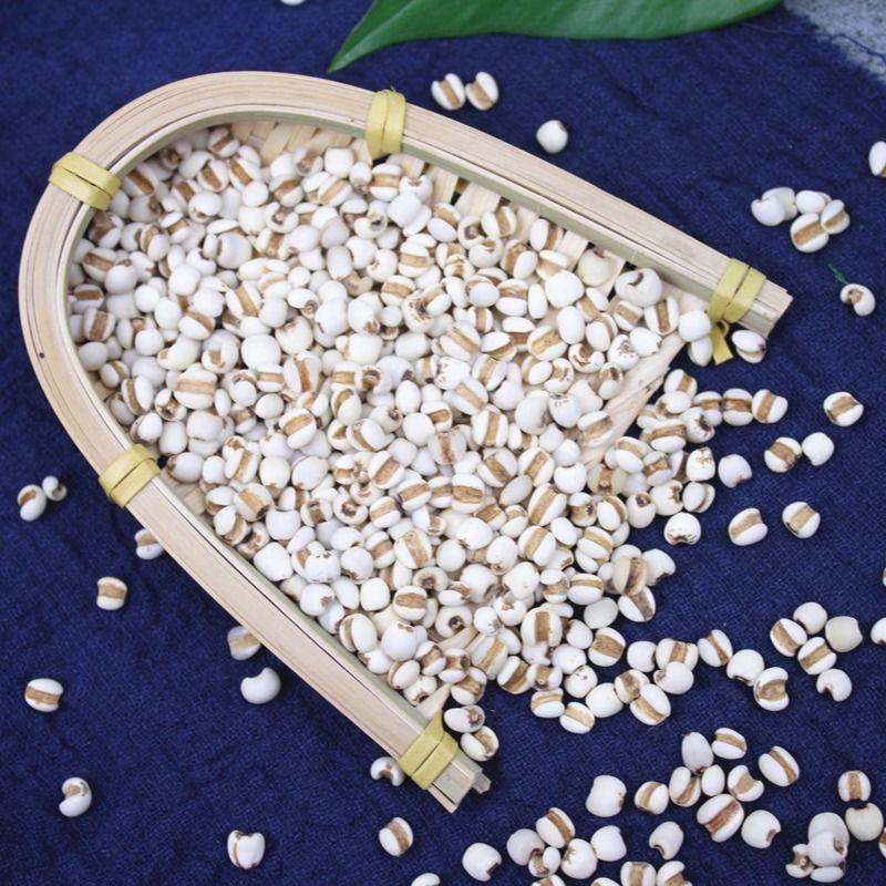 新鲜贵州小薏米生薏仁薏米无硫米五谷杂粮批发