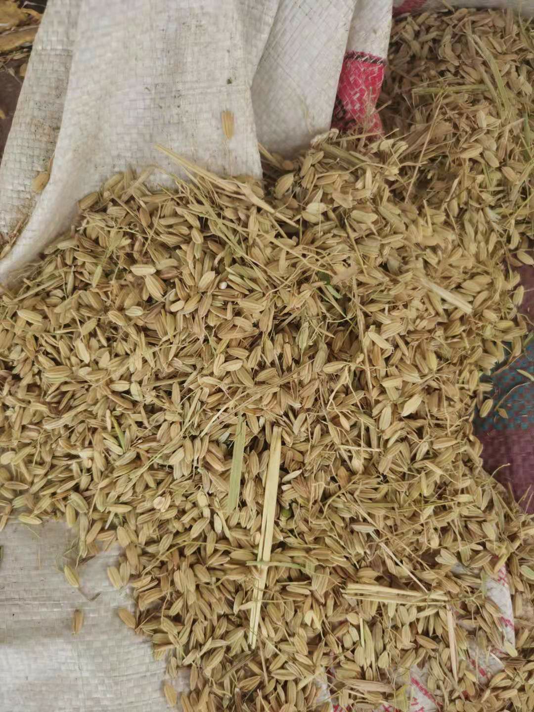 谷壳稻谷壳 谷壳