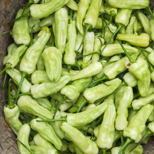 广南县小米椒，泡椒