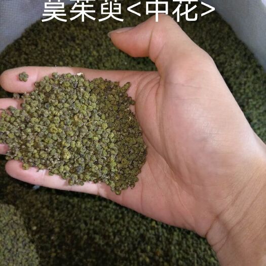 广州吴茱萸 茣茱萸<中花>
