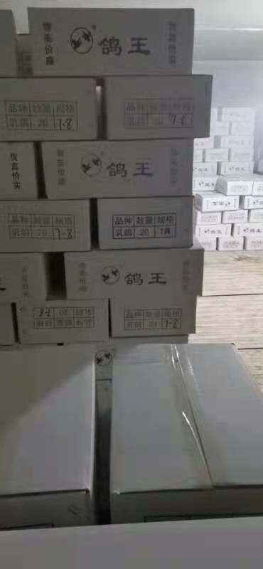 青岛 2021青岛乳鸽，电商合作