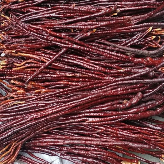 冠县赤灵芝  灵芝草   质量赢得市场，价格决定人品 专业种植只