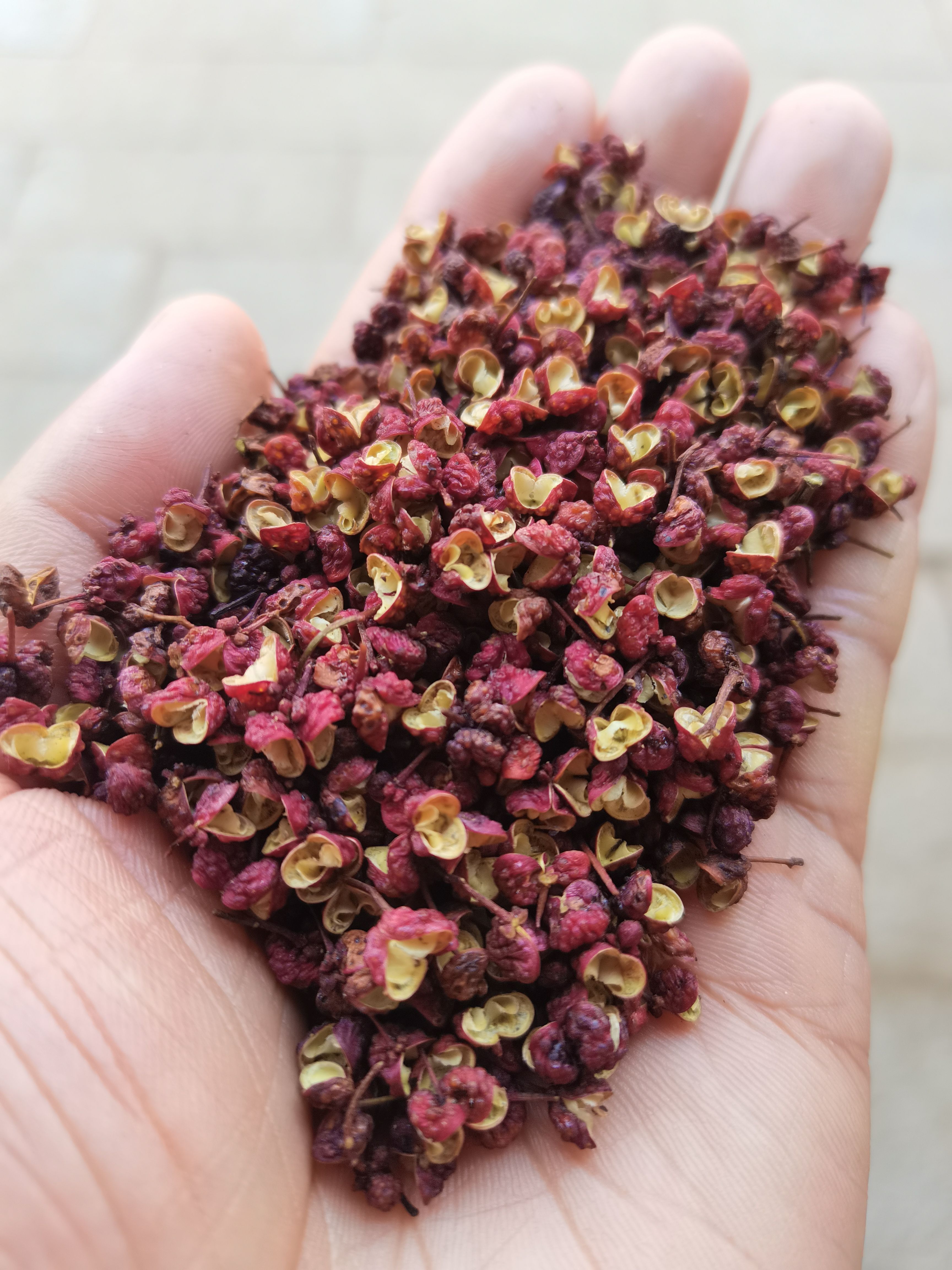 红麻椒 四川茂汶汉源红麻椒 各种香辛料中药材批发