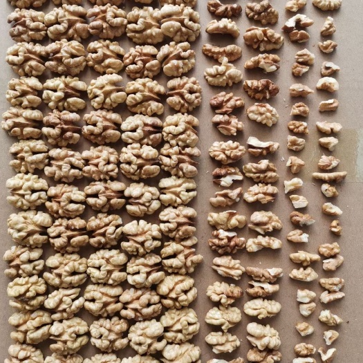 赞皇县云南核桃仁白二路现货供应，工厂直供