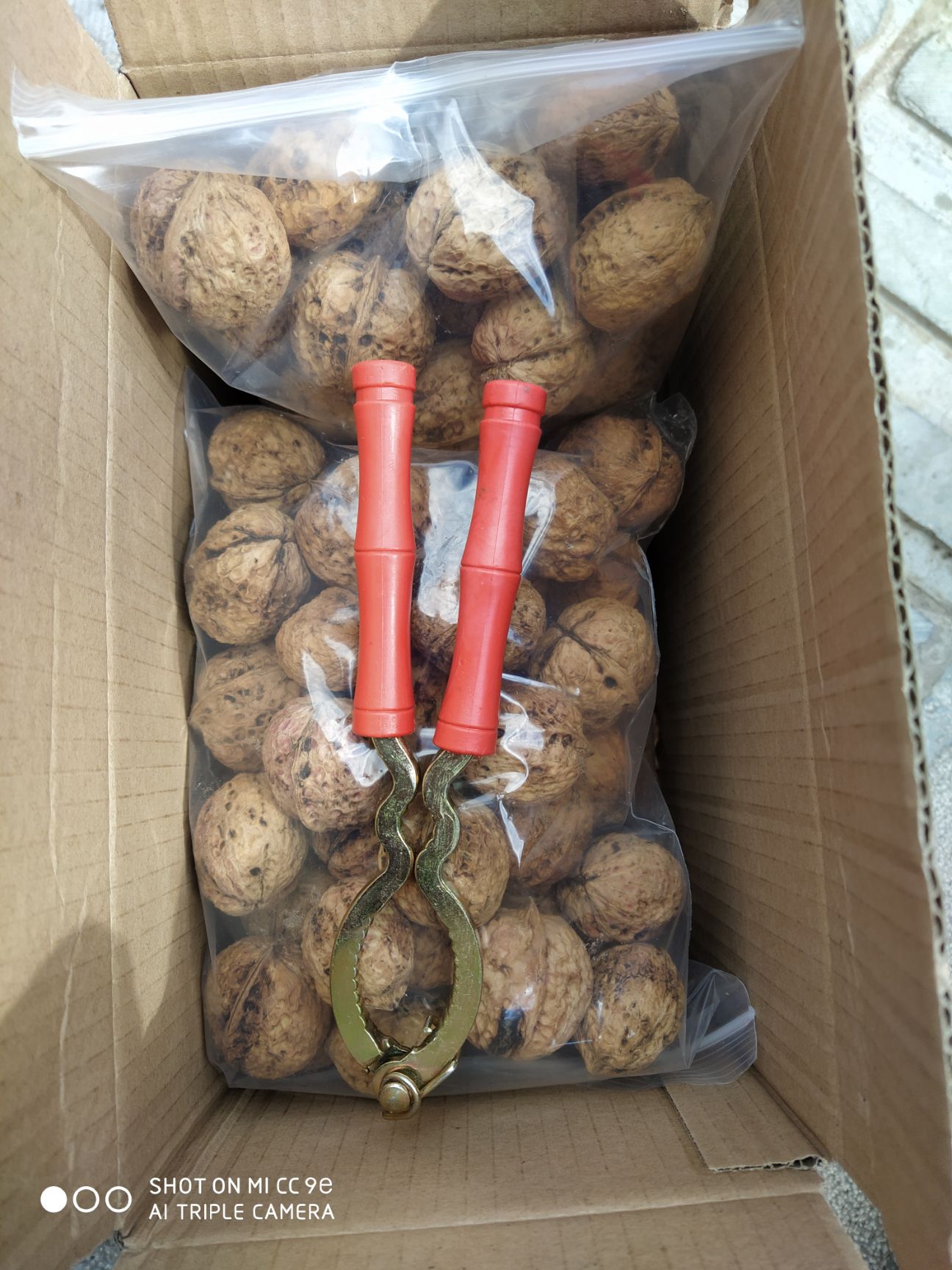 薄皮核桃  云南高原漾濞纸皮薄皮鲜核桃干核桃核桃仁新货上市