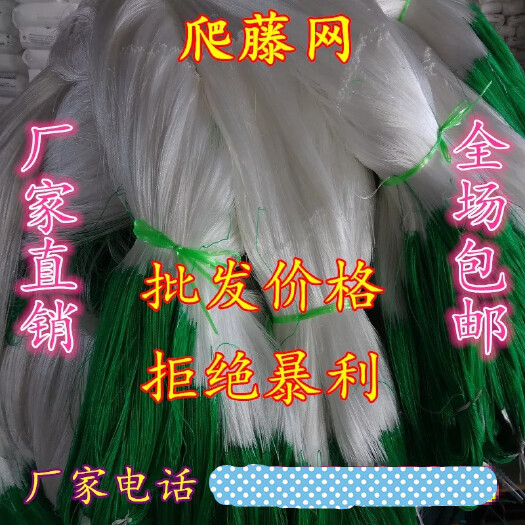 无棣县植物爬藤网黄瓜网苦瓜网丝瓜网芹菜防倒伏网攀爬藤网种植网