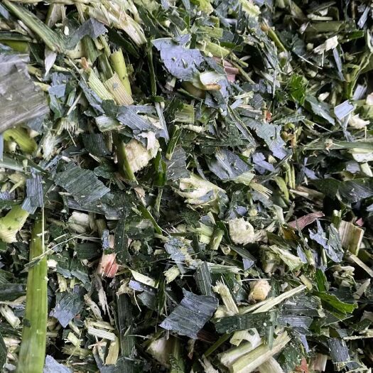 宿州 优质玉米秸秆，上乘得牛羊草料