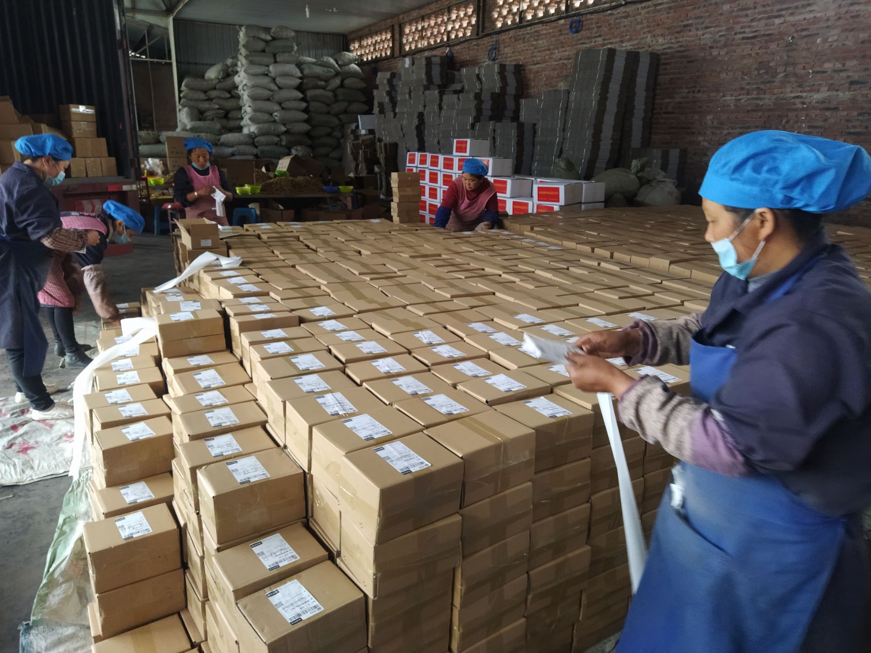 薄皮核桃  云南高原漾濞纸皮薄皮鲜核桃干核桃核桃仁新货上市