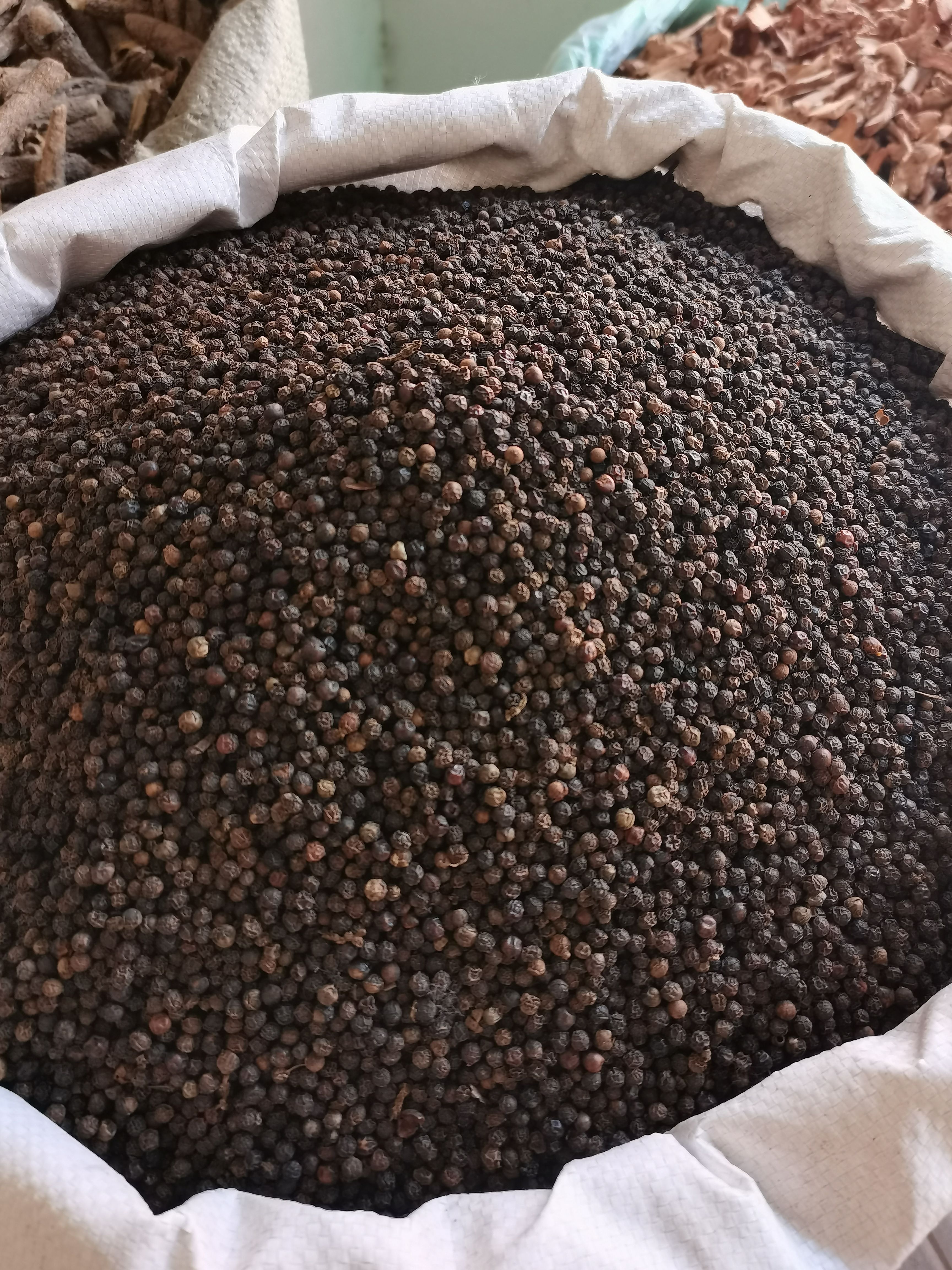 黑胡椒 大颗粒黑胡椒 各种香辛料中药材批发