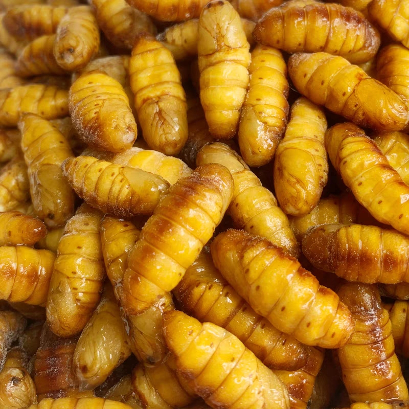 蚕蛹，350g包