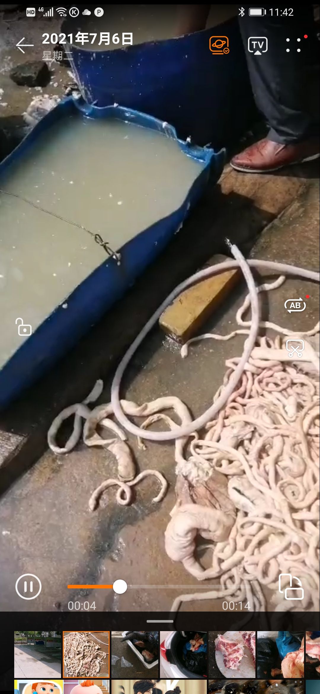 牛肠牛小肠牛杂无肝肺（纯生无油）（包含小肠大肠肠头伞带）