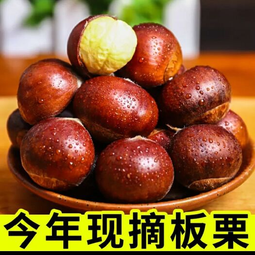 永仁县油栗  云南楚雄 高山板栗  正宗油板栗  自家果园种植 新