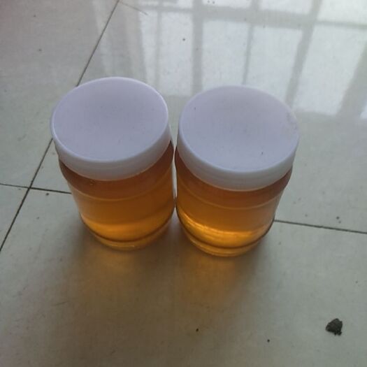 临朐县荆条蜜 自己养的蜂，刚刚摇的荊花蜜