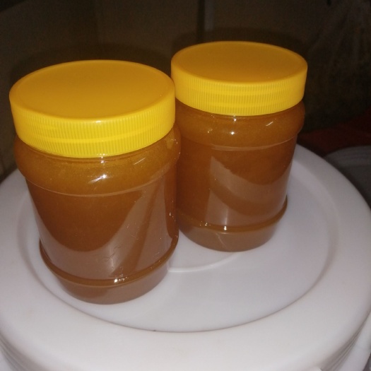 罗甸县土蜂蜜 蜂蜜