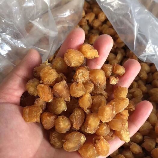 博白县 新鲜桂圆肉，产地直供，价格优惠，量大从优，欢迎咨询购买。