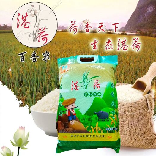 深圳 广西贵港荷城香米5kg/10kg