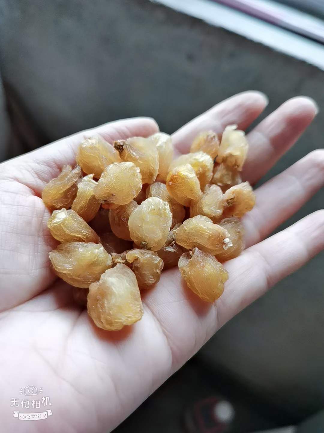 桂圆肉 量大百斤以上必优，不相信就下单。