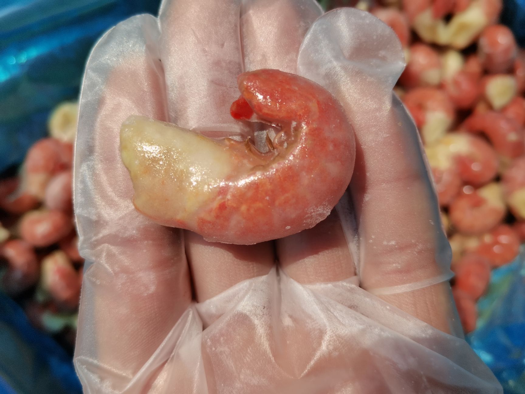 小龙虾  《冠悦禾》特A龙虾尾。