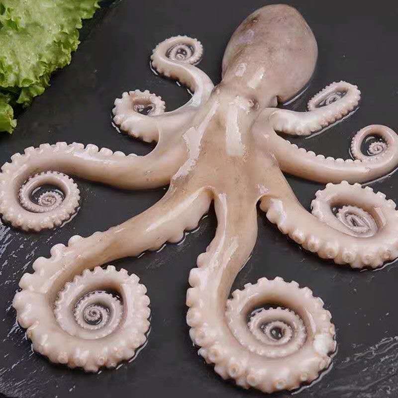   챬ͷȰצʻٶȰצ㺣