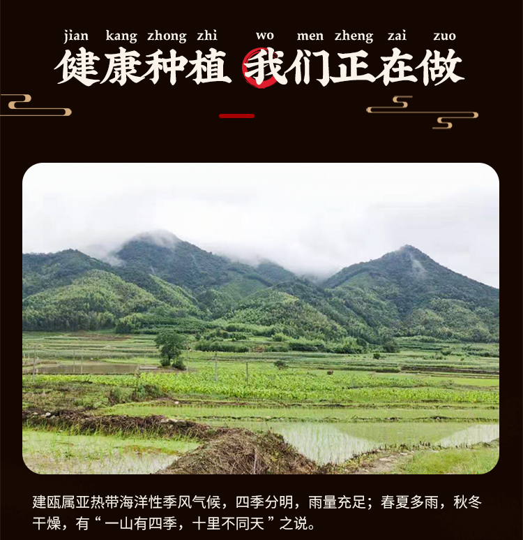 福建新鲜中国当季甜玉米水果玉米水分充足