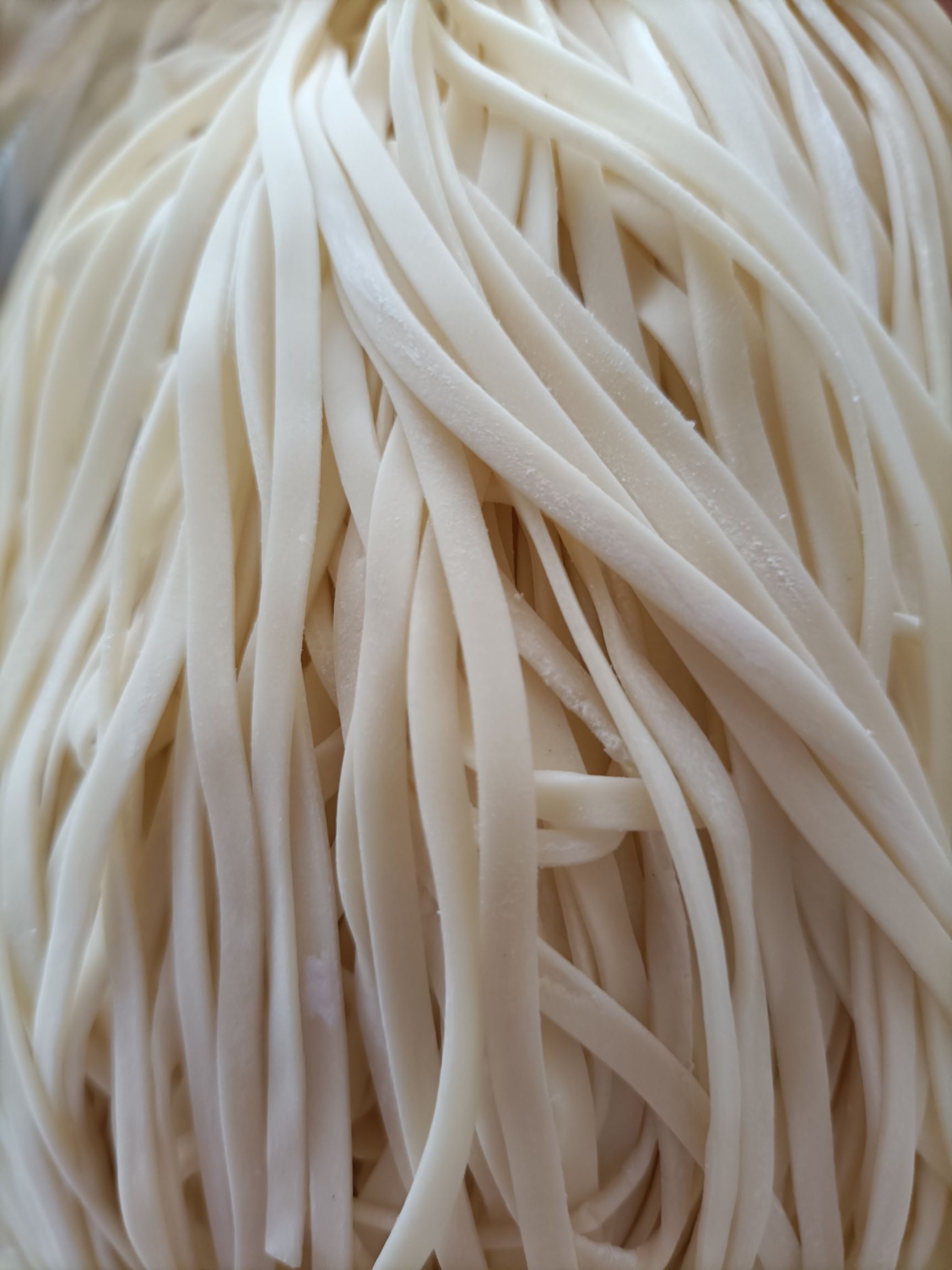 鸡蛋面 重庆高筋鲜面条 主要为饺子皮！抄手皮！鲜面条批发为主