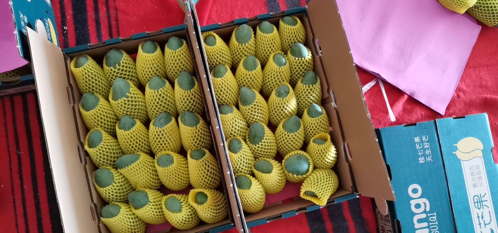 香芒  广西百色中桂七芒果