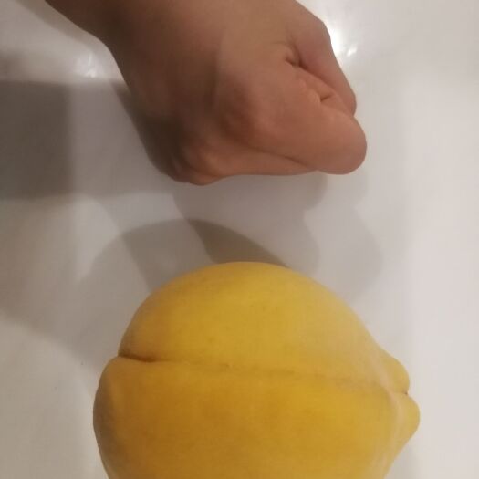 炎陵县 炎陵黄桃