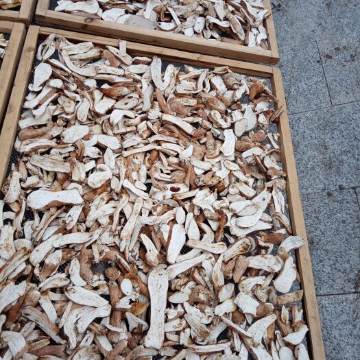 和龙市长白山美味牛肝菌干片，