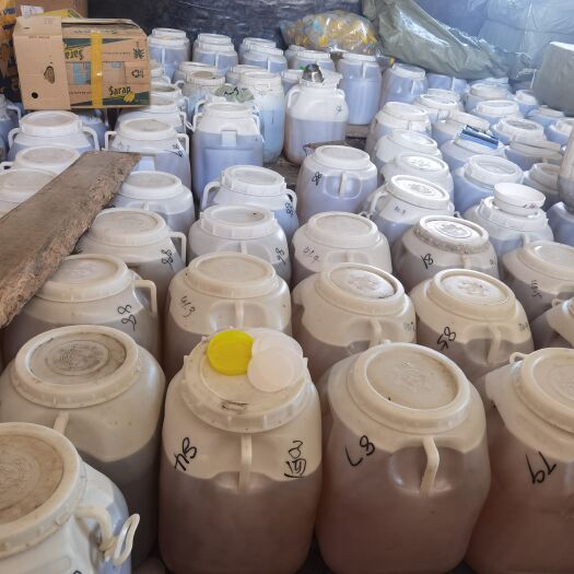 饶河县大桶蜜170斤左右 蜂场直发 有椴树蜜百花蜜  原蜜发货