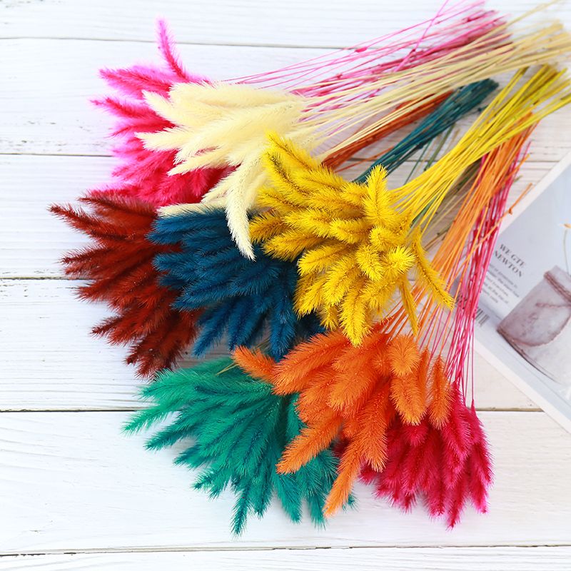 麦穗干花  网红花束永生花家居客厅装饰摆件干枝茶花兔尾草狗尾巴草干花