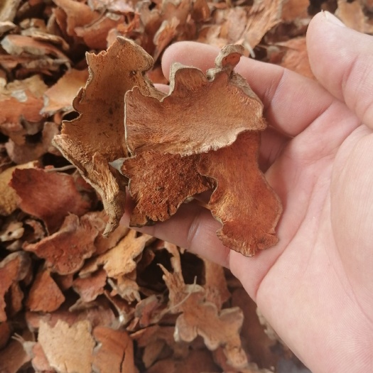 连州市广东本土金刚藤（菝葜）干货