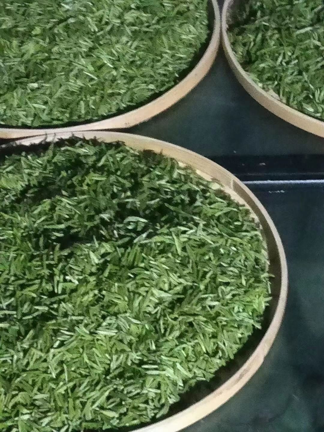 黄芽茶  纯手工黄茶2级