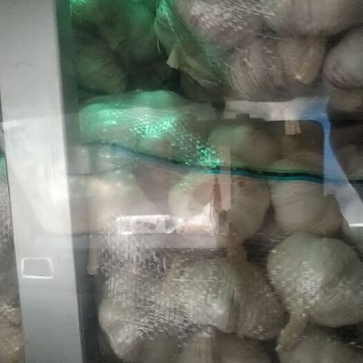 镇江红皮蒜 丕州净蒜5.5和6.0公分货在镇汇市丹徒区
