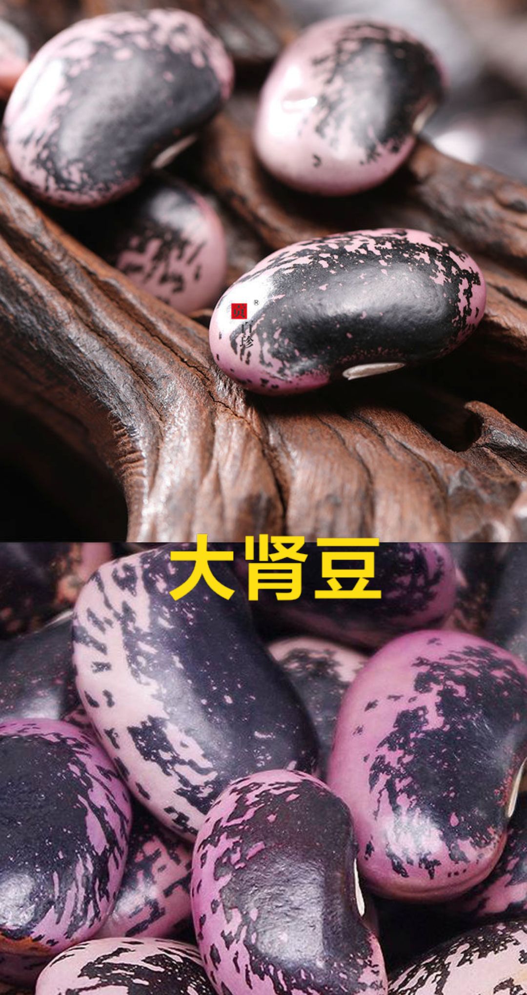 芸豆农家五谷杂粮芸豆熬粥煮饭打豆浆芸豆粉糯芸豆5斤装包邮