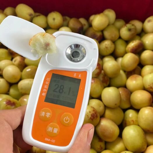大荔县 大荔冬枣，诚邀各位老板前来洽谈合作！！！