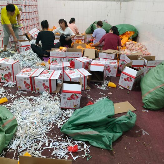 蒙自市 云南蒙自特产石榴