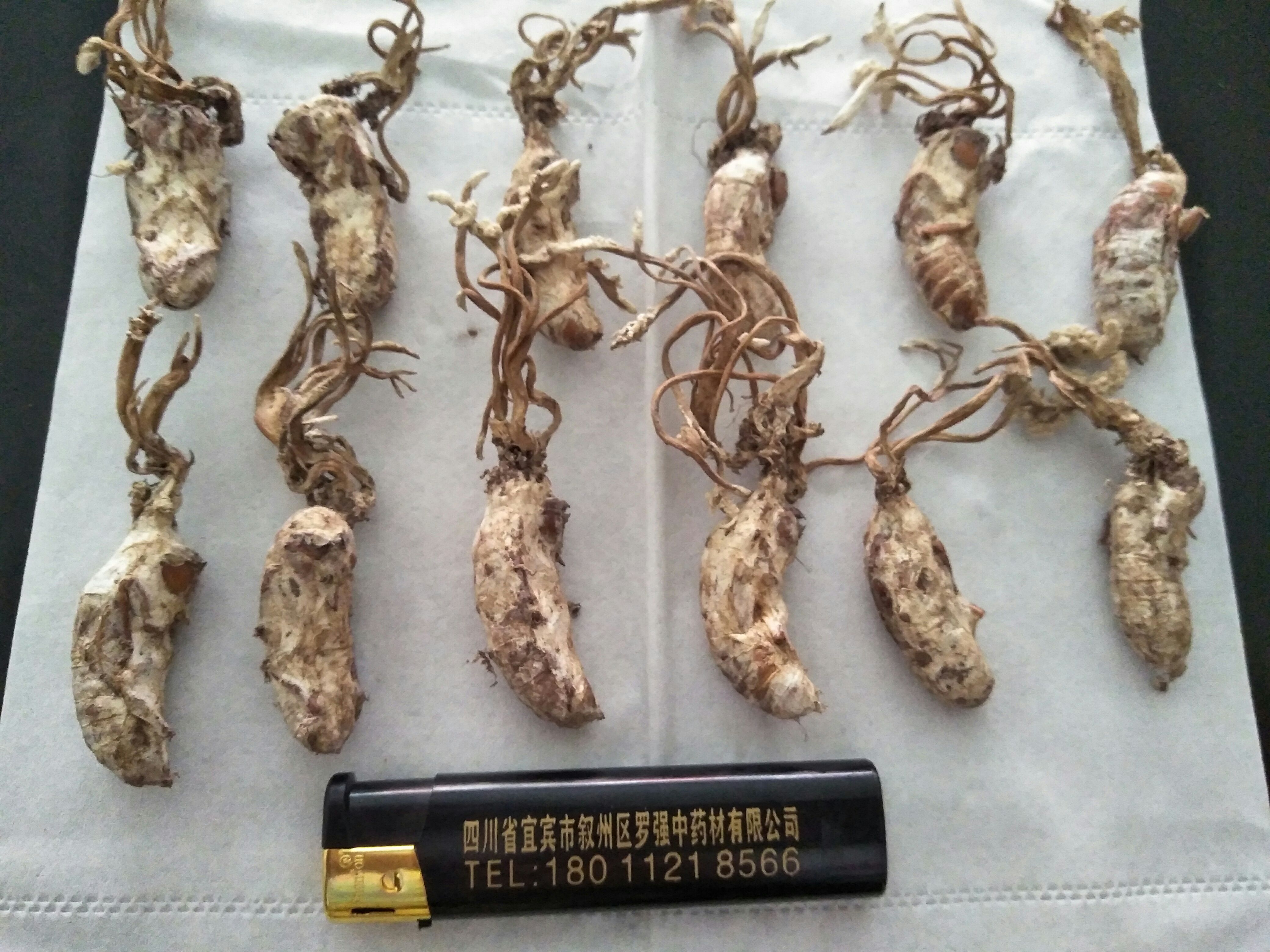 宜宾中药材山药  中药材  金花