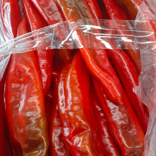 乐亭县牛角椒  乐亭各种蔬菜大量上市中，有需要的联系我