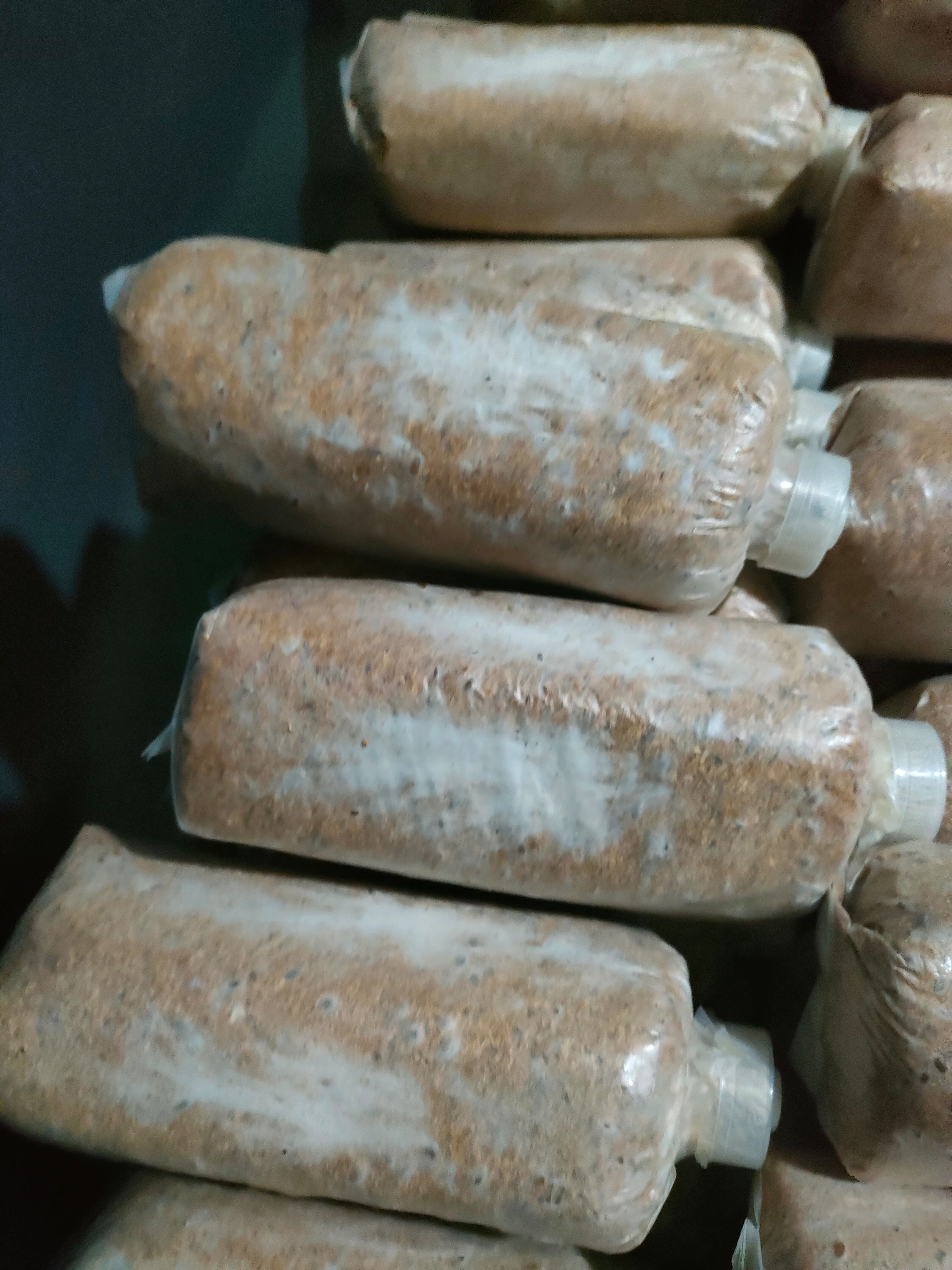 茯神  茯苓    ，，，，，，，，，，，