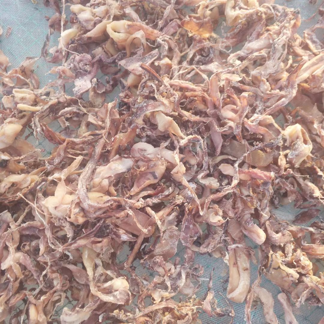 鱿鱼边角料 鱿鱼肉 鱿鱼碎肉