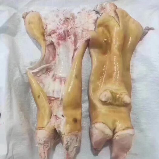 阳信县牛筋 牛蹄