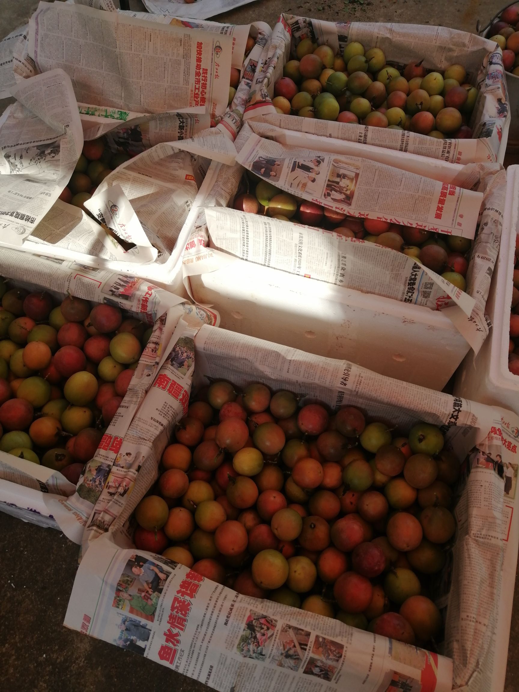 百香果，欢迎电商社区团购长期合作，台农百香果