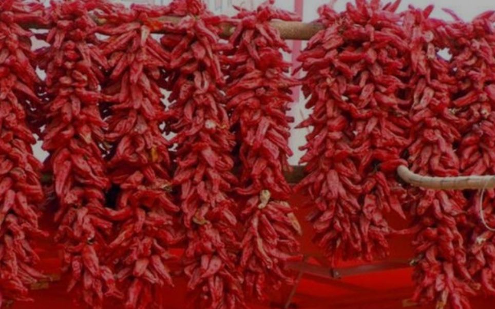  托县辣椒