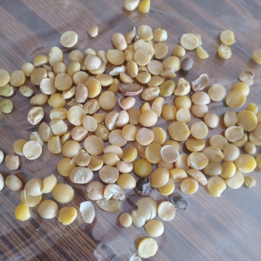 嫩江市黄豆瓣 豆瓣