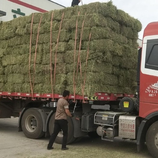 固原苜蓿草捆2021新草，地头装车