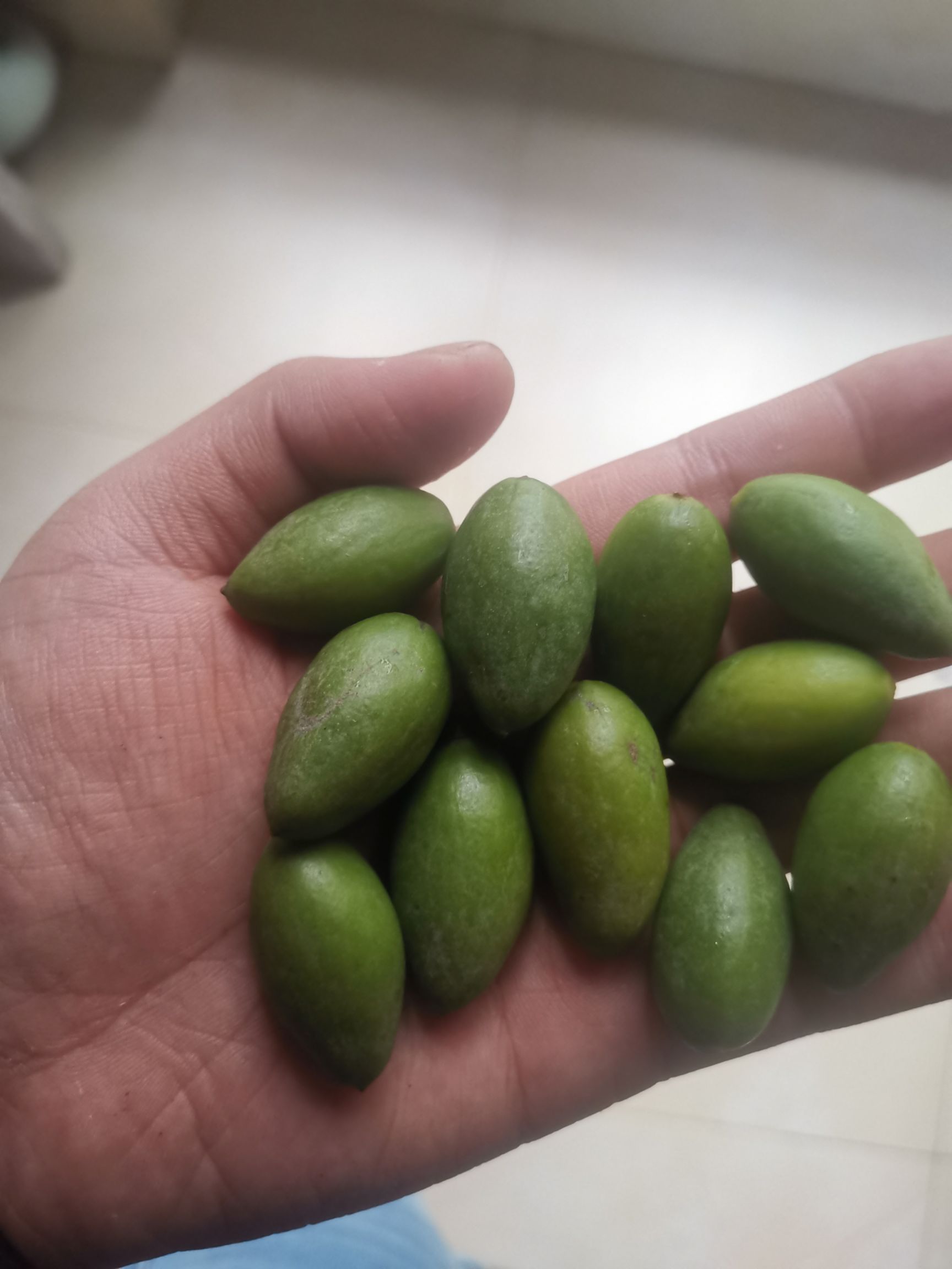 新鲜甜种檀香二号水果甜橄榄福建闽清闽侯潮汕特级金灶特甜橄榄