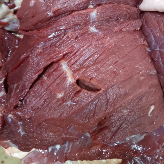 宁津县 鲜驴肉@鲜驴肉批发厂家@鲜驴肉基地直供@鲜驴肉一手货源