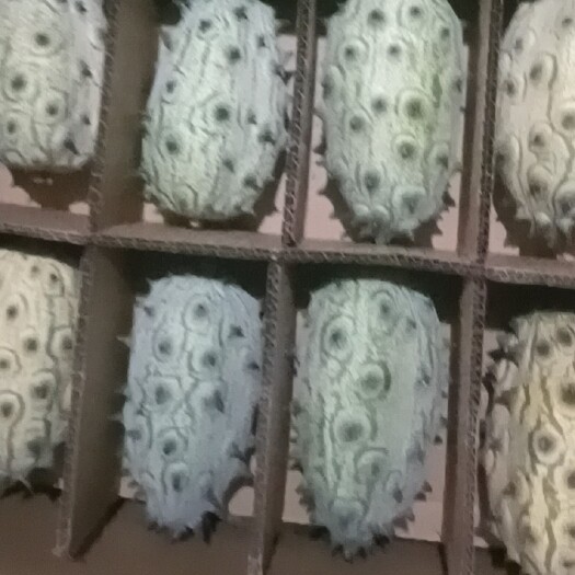 大田县火参果，刺角瓜