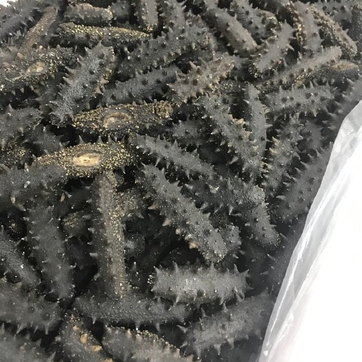 佛山海参干 福建六排刺辽参，盐干